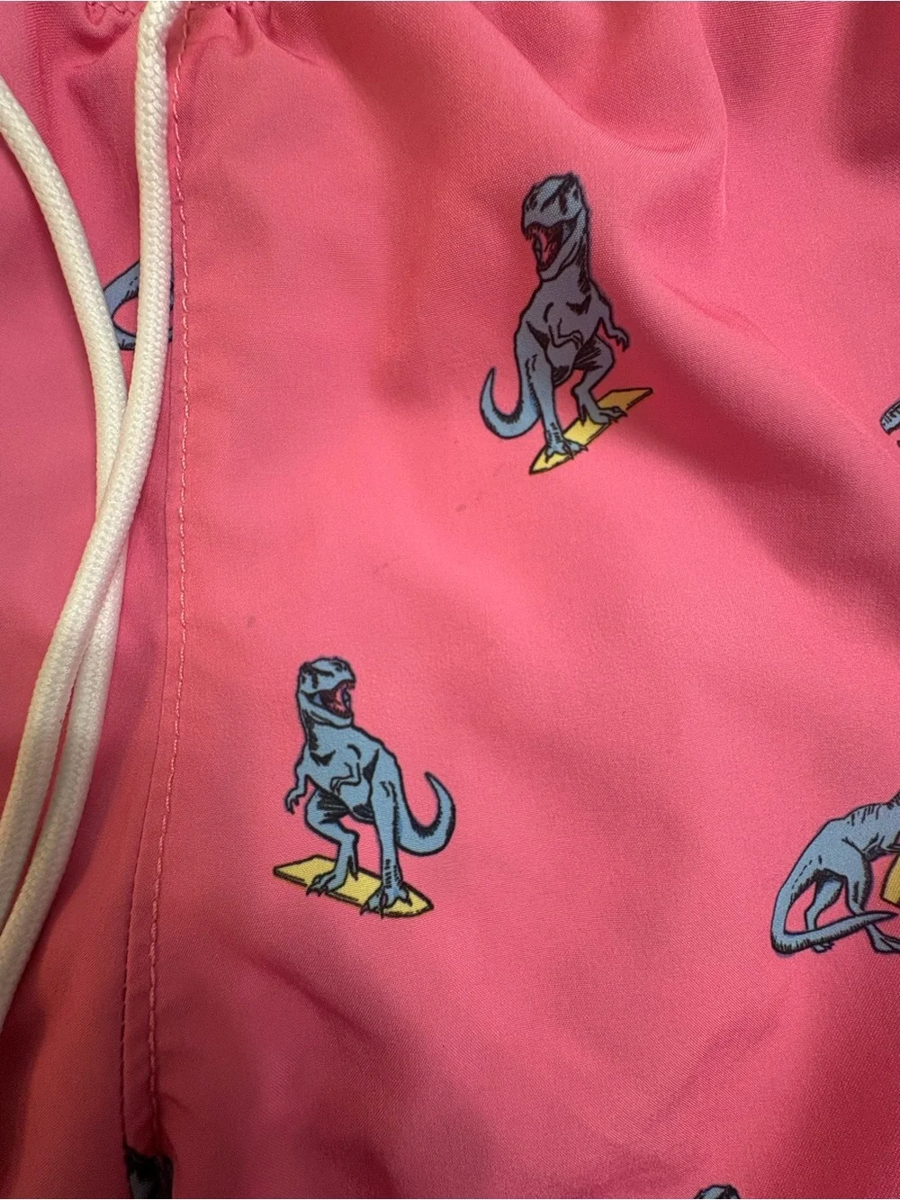Hollister Pink Surfing Dinosaur Swim Trunks Size XS